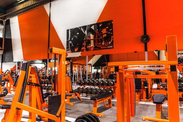 Templo Gym Ves Publicidad3